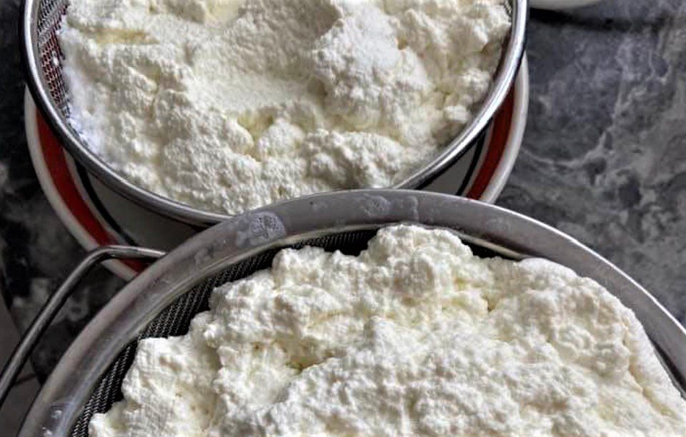 Ricotta fresca fatta in casa - Ricetta semplice
